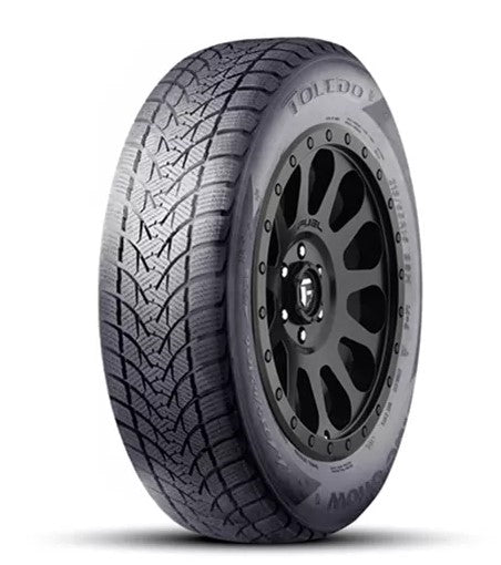 195/55R15 85H Tercelo Bluesnow